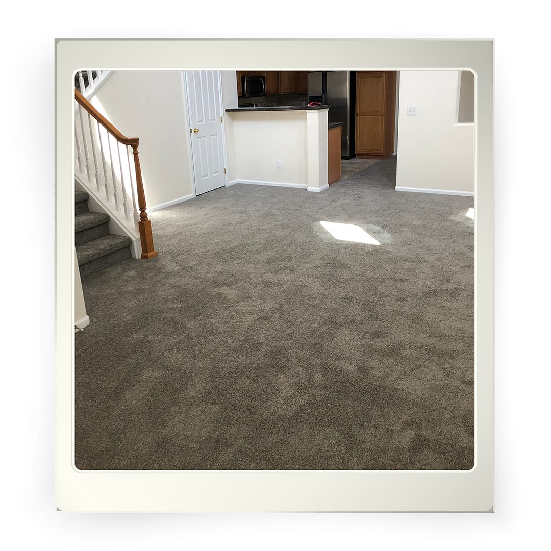 Carpet installed in Westminster, CO Airbnb.