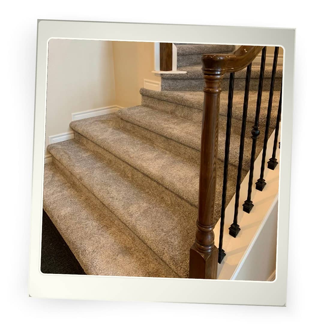 Durable, pet-friendly carpeting.